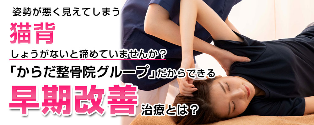 猫背TOP画像